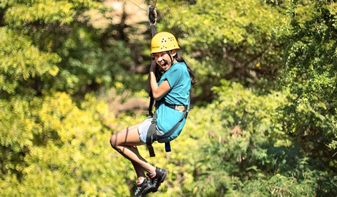 6 Zipline Adventure Coral Crater Adventure Park