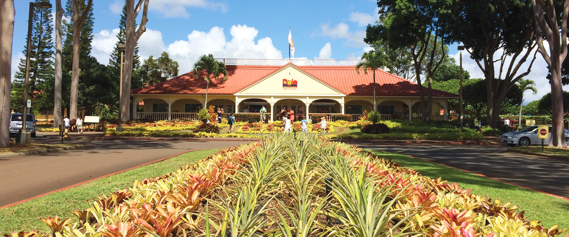 Dole Plantation Hawaii's Pineapple Experience