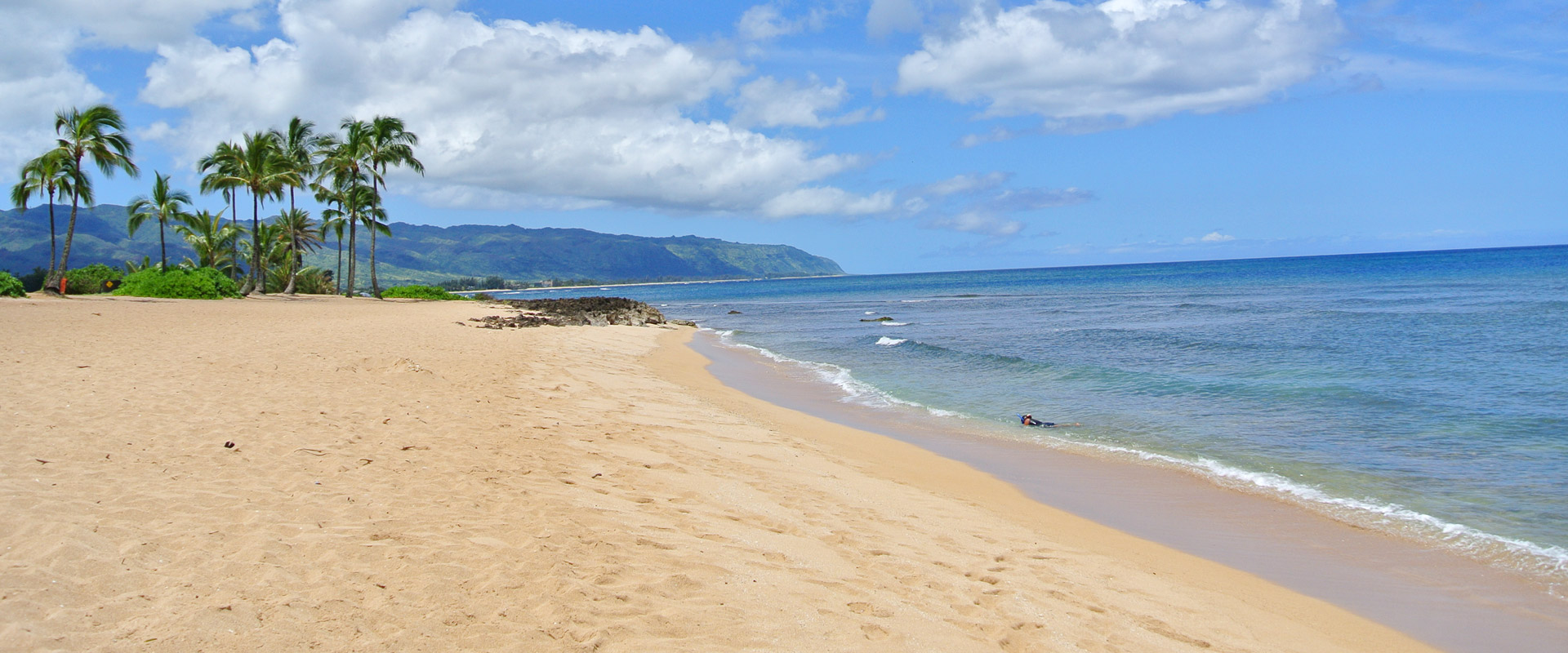 Visit the World Famous North Shore Beaches